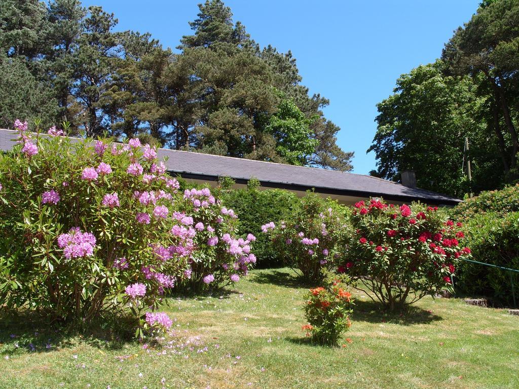 Plas Heulog Holiday Accommodation Llanfairfechan Exterior foto